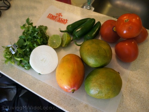 How to make mango salsa using this recipe at home. Great for tacos, burritos and tostadas. | livingmividaloca.com | #livingmividaloca #mangosalsa #recipes #spicymangosalsa #salsa #mexicansalsa #diprecipes