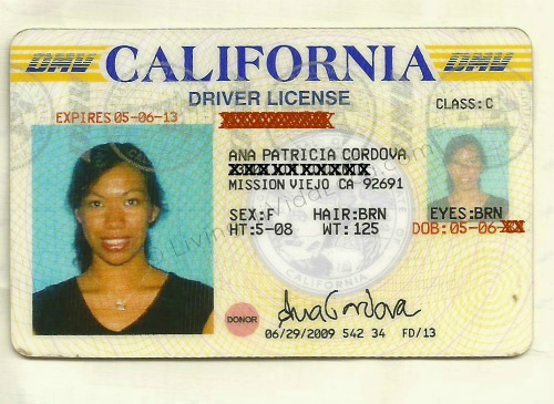 international driving license in california