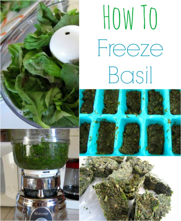 Preserving fresh basil by freezing for later use