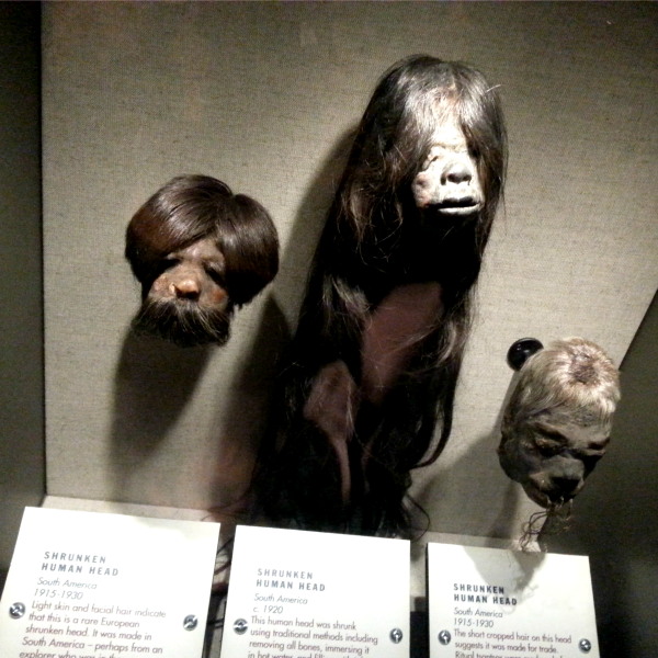 Shrunken Heads at Discovery Cube