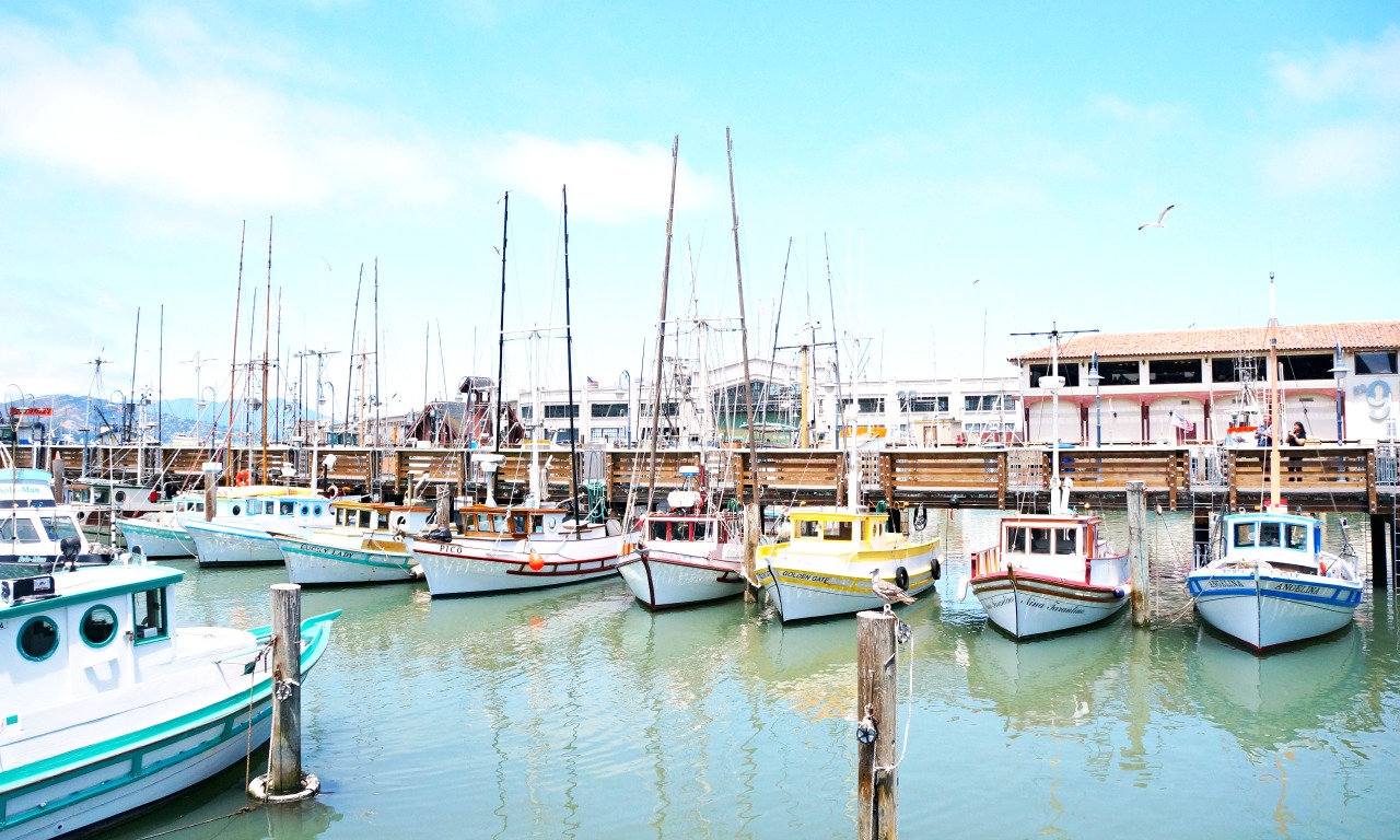 Harbor in San Francisco - LivingMiVidaLoca.com (photo credit: Pattie Cordova)