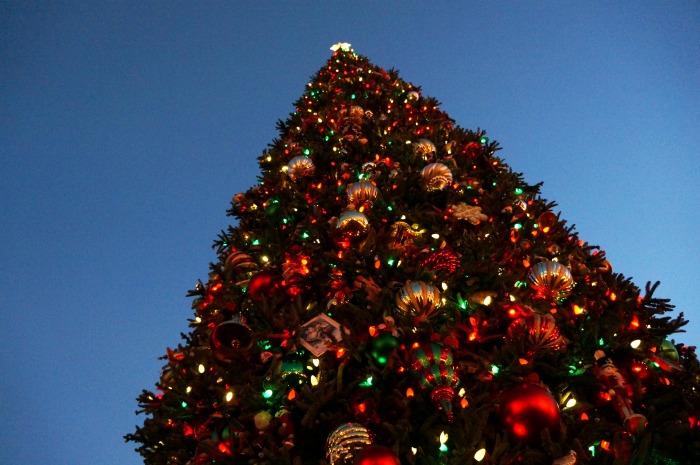 Disneyland Resort after dark christmas tree // livingmividaloca.com