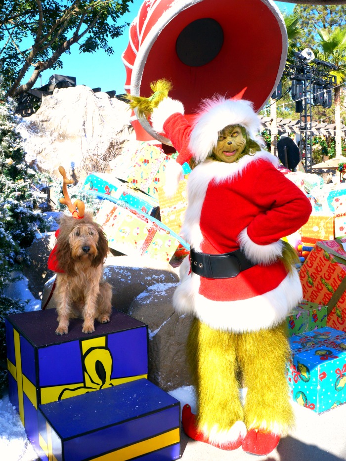 Grinch and Max at Universal Studios Hollywood