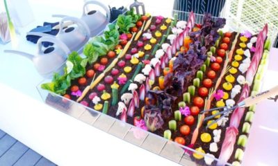 Vegetables party tray