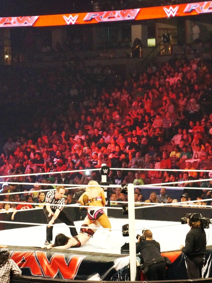 WWE Divas at Honda Center