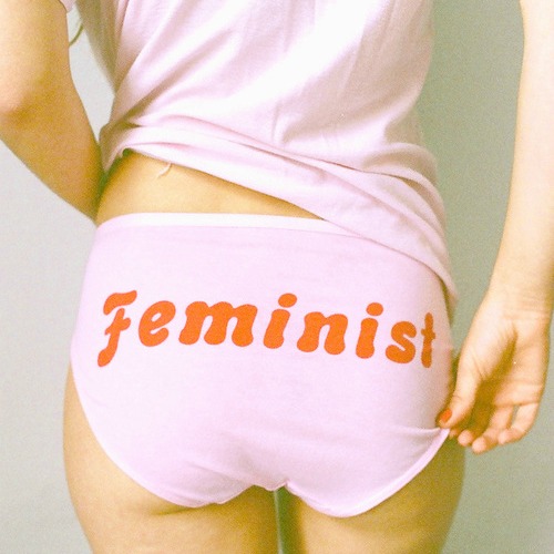 me and you feminist underwear