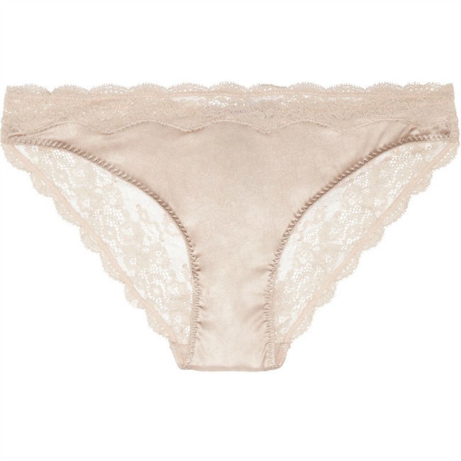 Silk and Lace Briefs