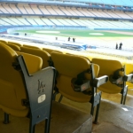 Dodger Stadium seats