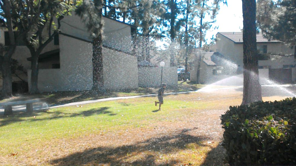 boy running through sprinklers