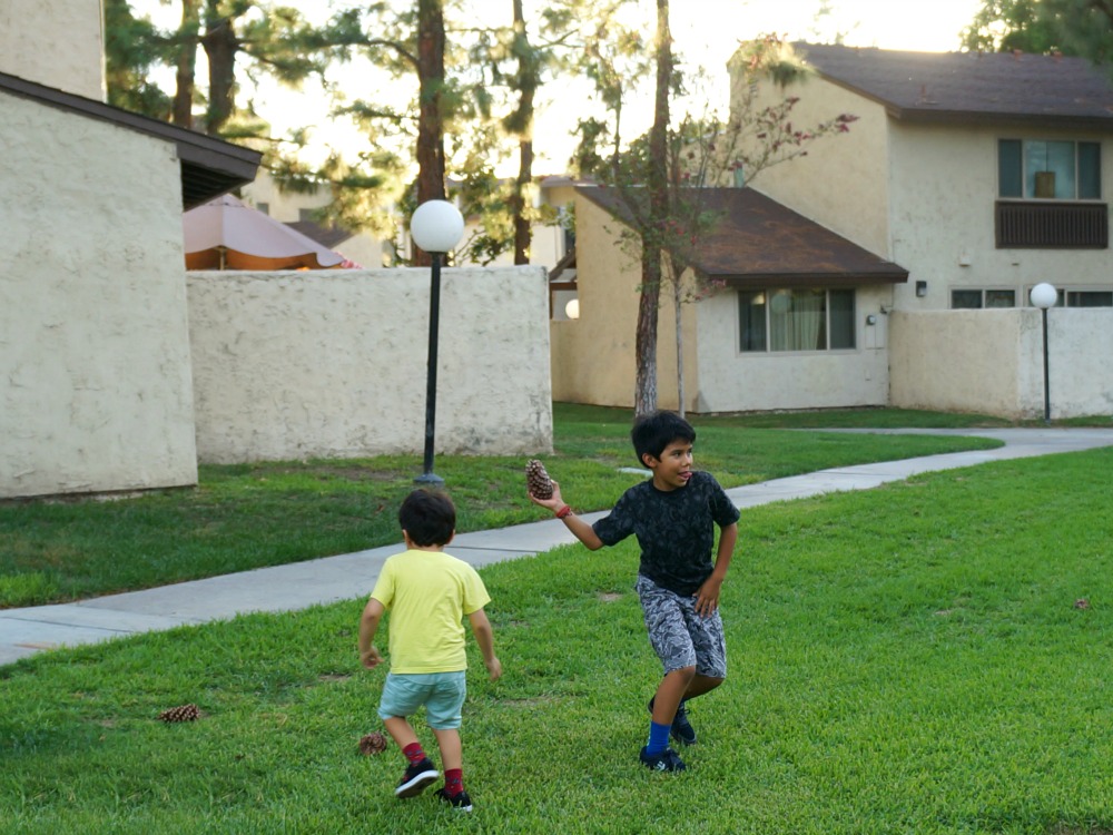 boy throwing pinecones