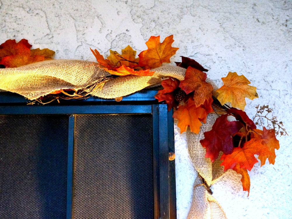 Fall leaves on door