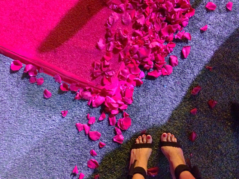 Rose petals on carpet