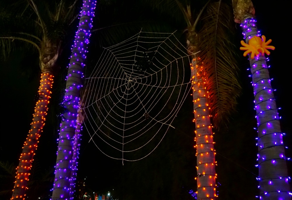 Spiderweb at LEGOLAND California