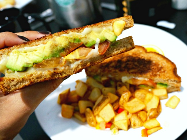 Avocado panini