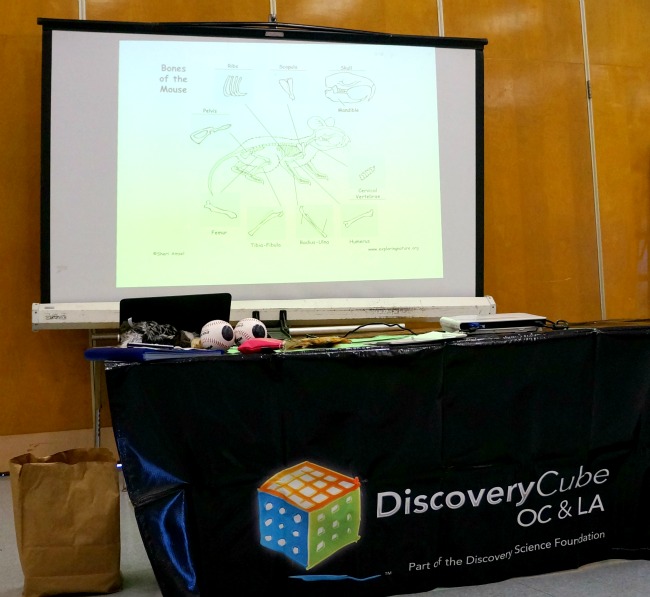 Discovery Cube OC Educational Program