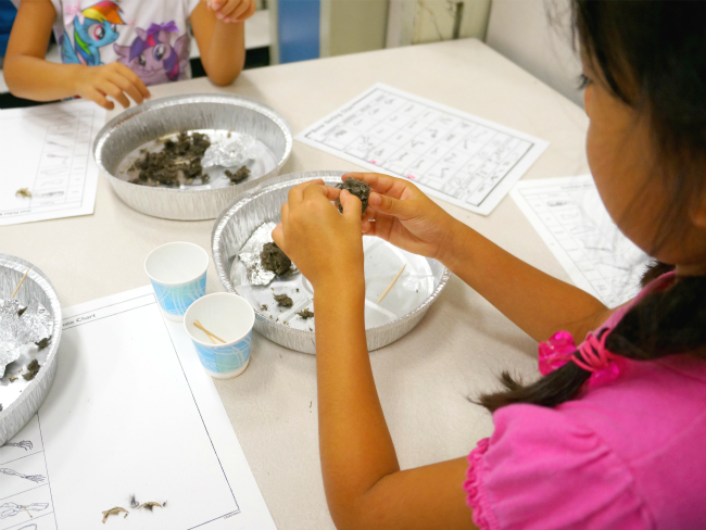 Girl dissecting owl pellets // livingmividaloca.com