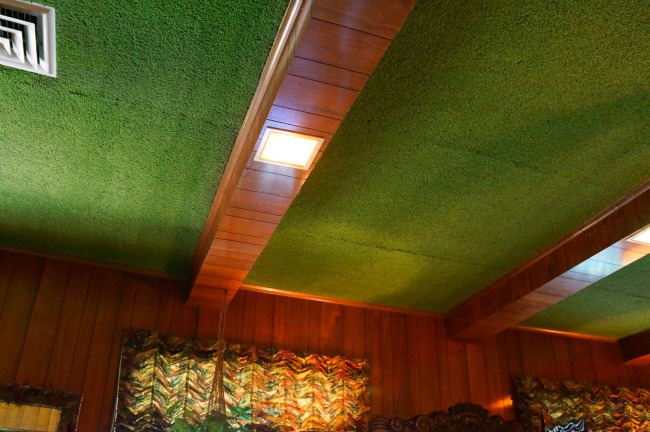 Green shag carpet on ceiling 