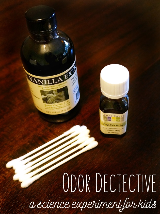 Odor Dectective - a science experiment for kids