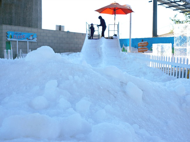 snow sleds for young kids // livingmividaloca.com