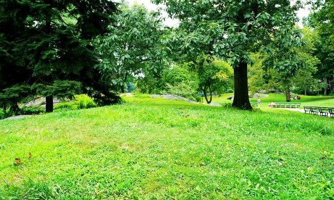 Movies filmed in Central Park, New York - LivingMiVidaLoca.com