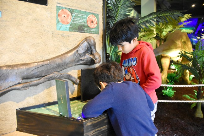 Hands on displays at Extreme Dinosaurs exhibit at Discovery Cube - LivingMiVidaLoca.com (photo credit: Pattie Cordova)