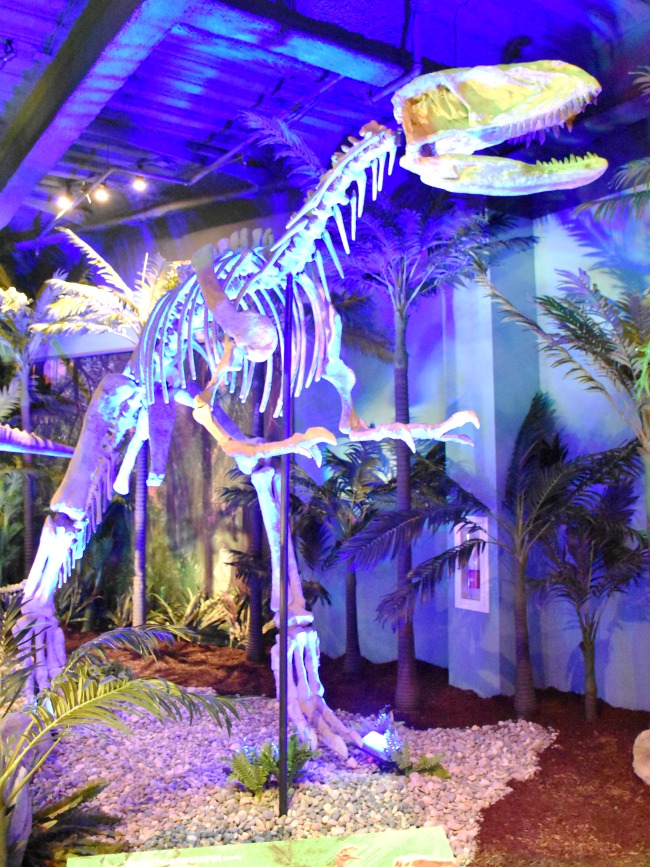 Full size dinosaur skeleton at Extreme Dinosaurs exhibit at Discovery Cube - LivingMiVidaLoca.com (photo credit: Pattie Cordova)