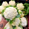 Farmers market at kaiser permanente
