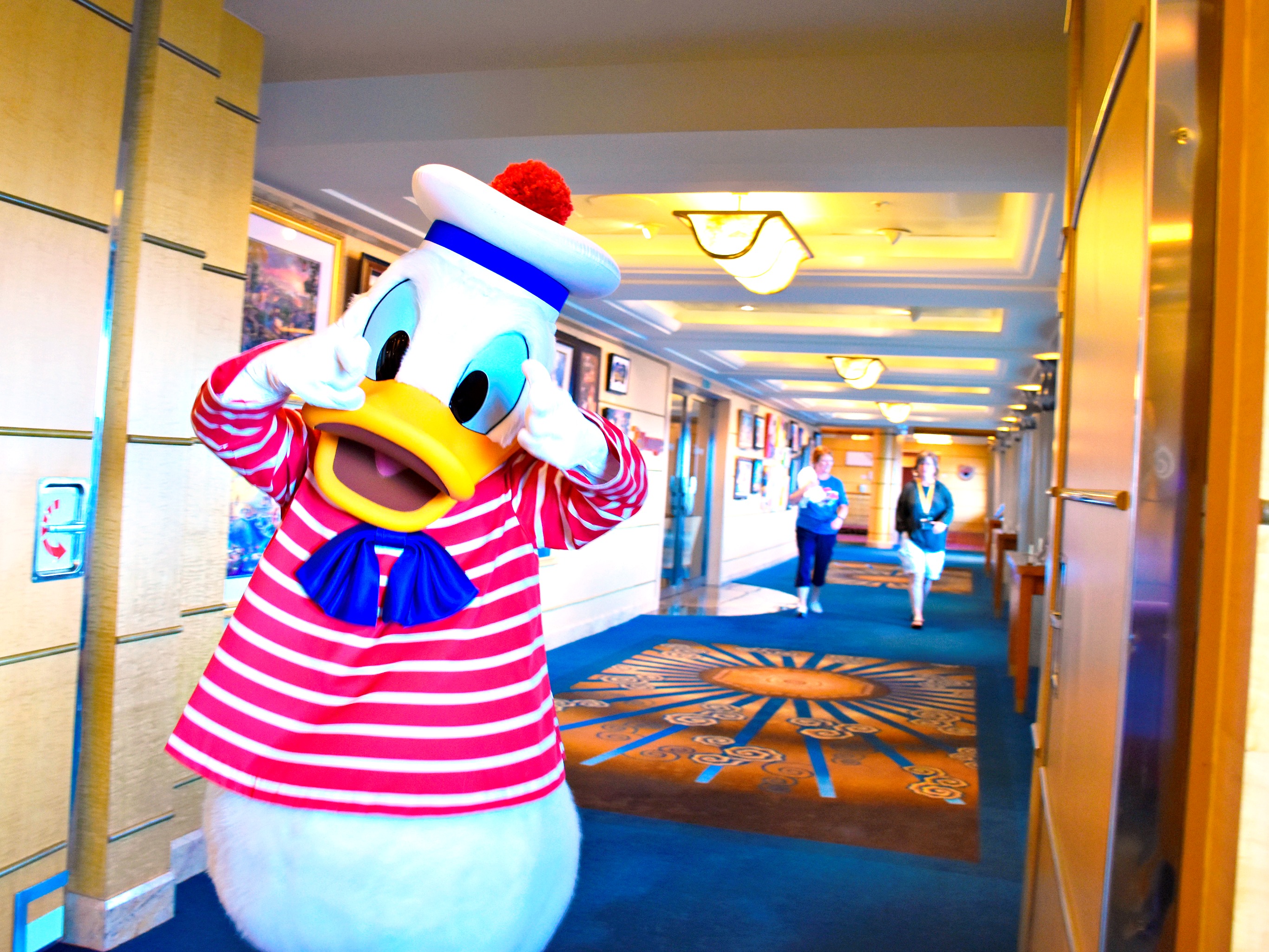 Donald Duck on the Disney Wonder