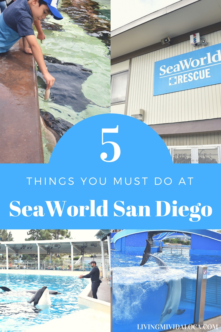 5 Things You Must Do at SeaWorld San Diego - LivingMiVidaLoca.com