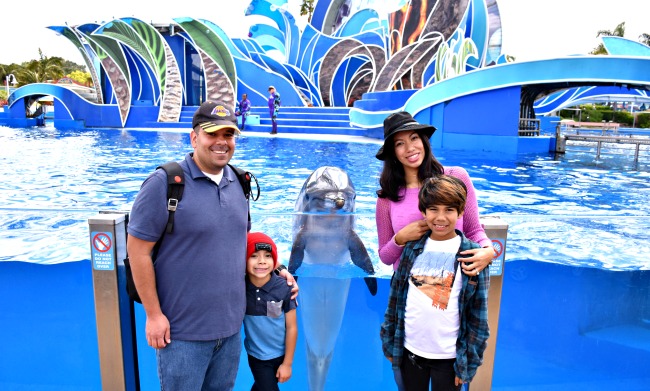 The Dolphin Encounter at SeaWorld - LivingMiVidaLoca.com