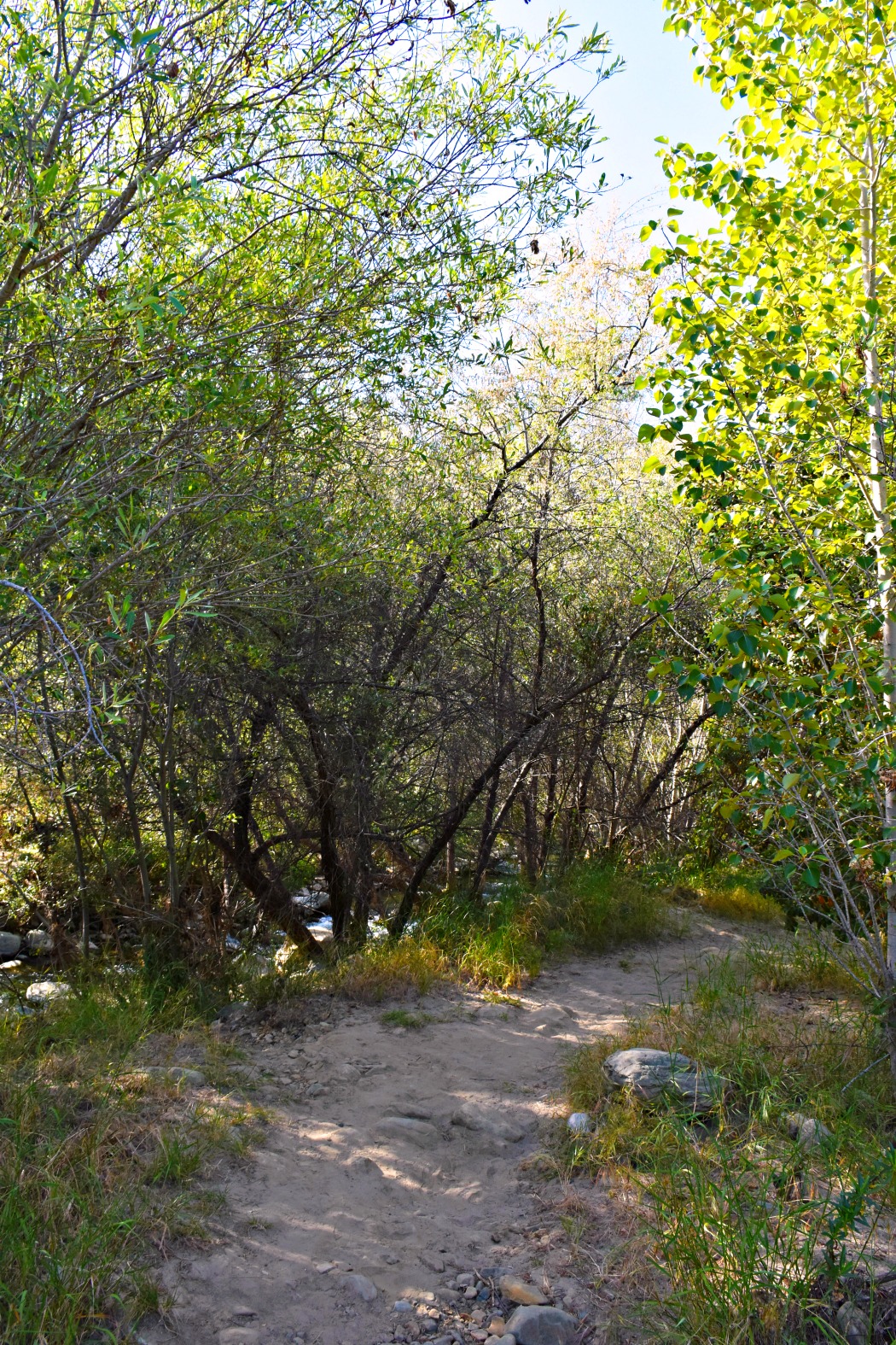 Nature trail at Ventura Ranch KOA - LivingMiVidaLoca.com