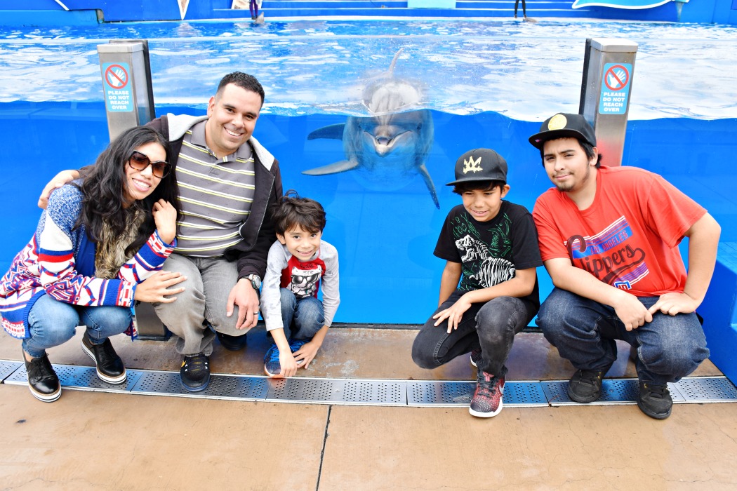 Dolphin Encounter at SeaWorld San Diego - LivingMiVidaLoca.com