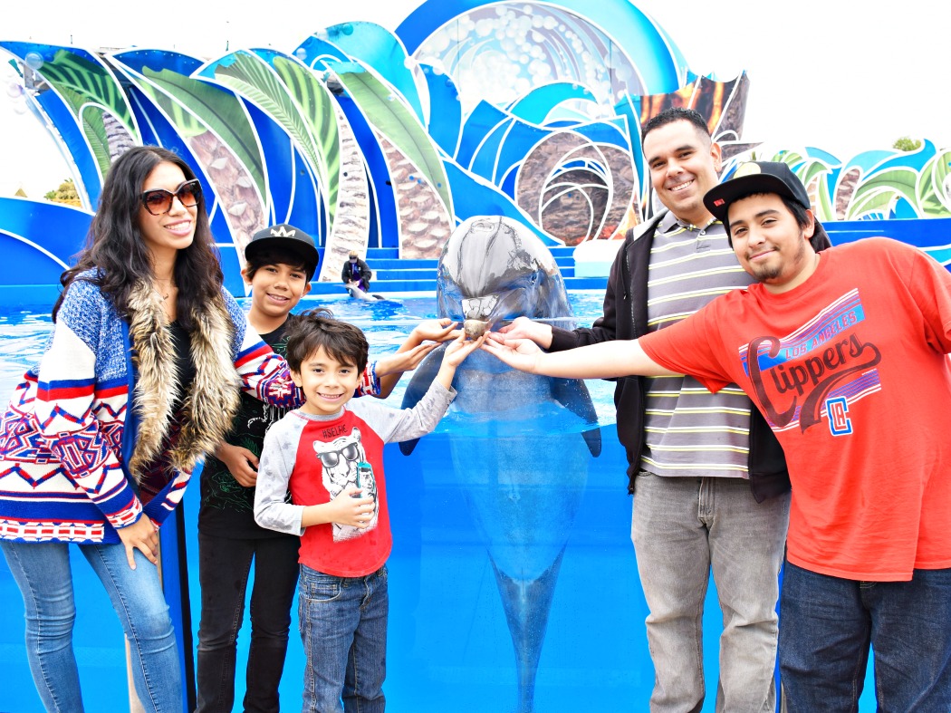 Dolphin Encounter at SeaWorld San Diego - LivingMiVidaLoca.com