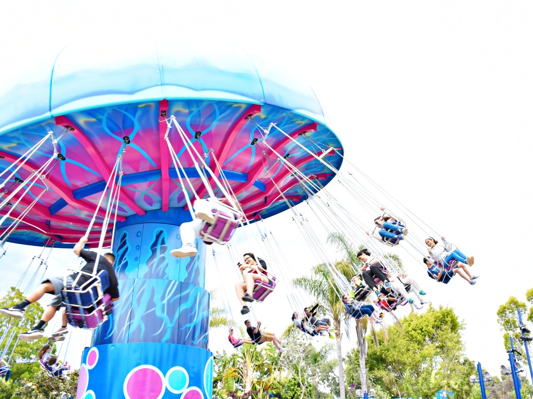 New Attractions At Seaworld San Diego Orange County Guide By Living Mi Vida Loca