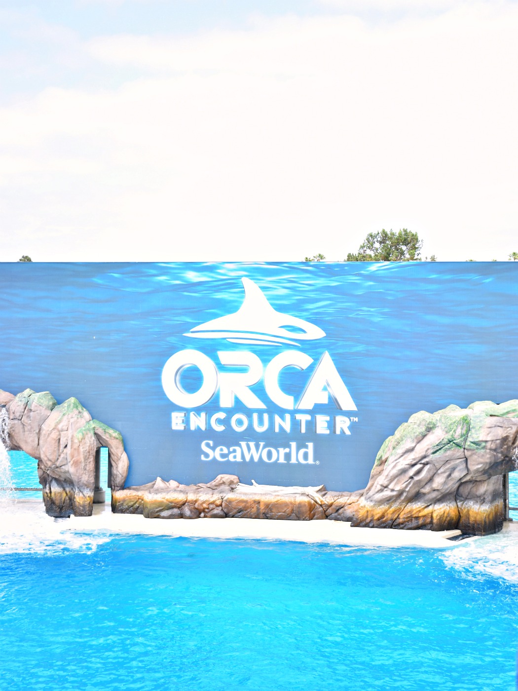 orca-encounter-at-sea-world-san-diego