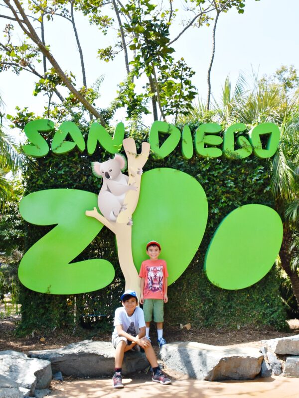 san-diego-zoo-tips-for-first-time-visitors-orange-county-guide-for