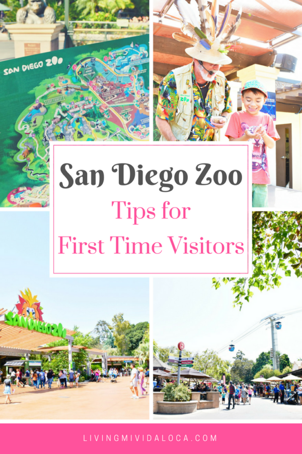 San Diego Zoo Tips for First Time Visitors