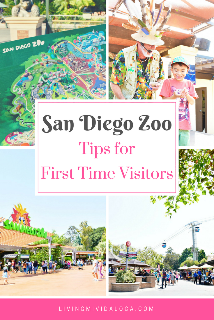 San Diego Zoo Tips for First Time Visitors - LivingMiVidaLoca.com