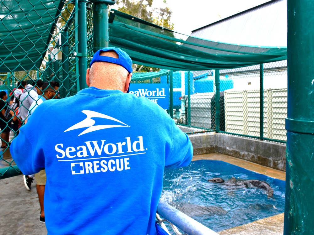 seaworld animal rescue team