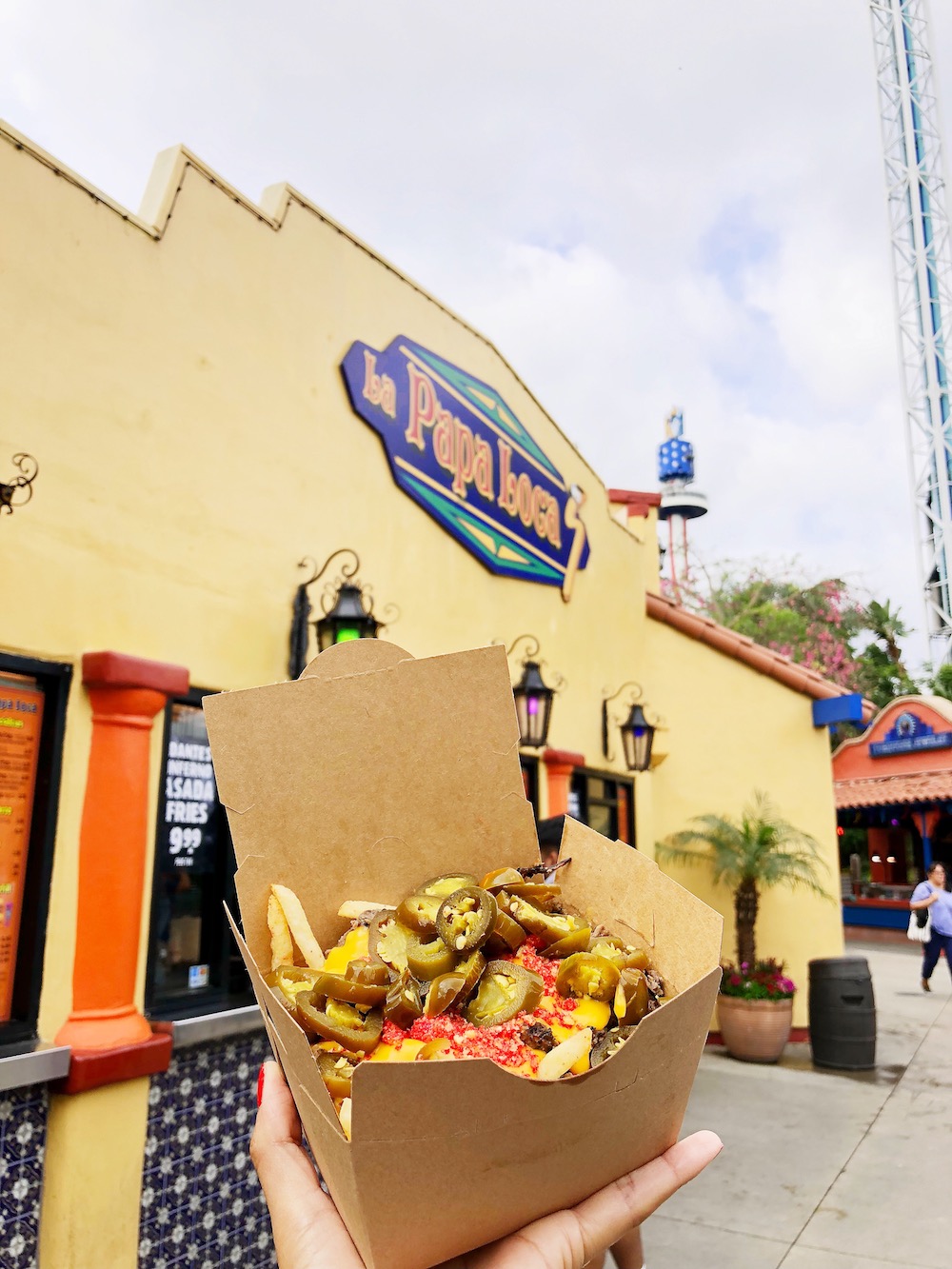 Dante's Asada Fries with Flaming Hot Cheetos - livingmividaloca.com