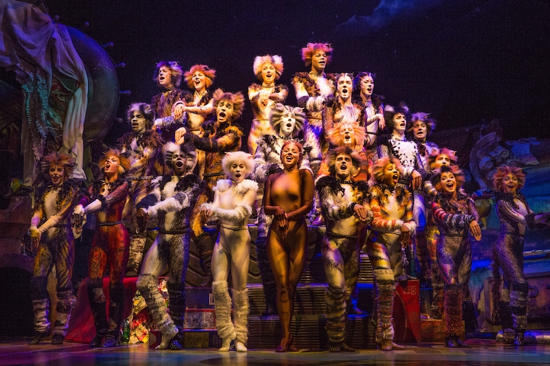 CATS at Segerstrom Center in Costa Mesa - LivingMiVidaLoca.com - #LivingMiVidaLoca #CATS #CostaMesa