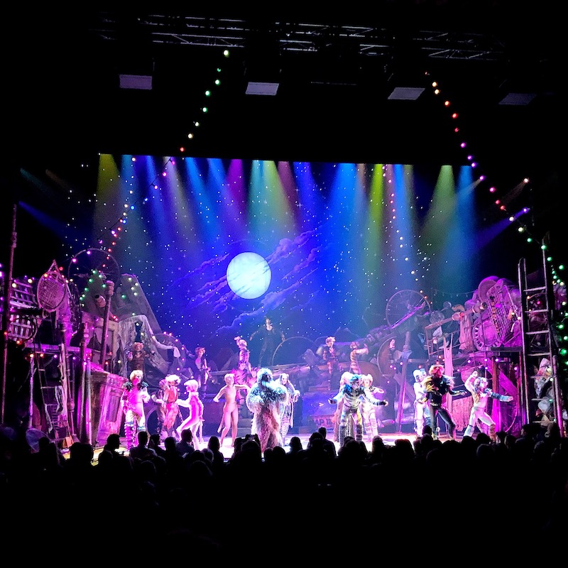 CATS at Segerstrom Center in Costa Mesa - LivingMiVidaLoca.com - #LivingMiVidaLoca #CATS #CostaMesa