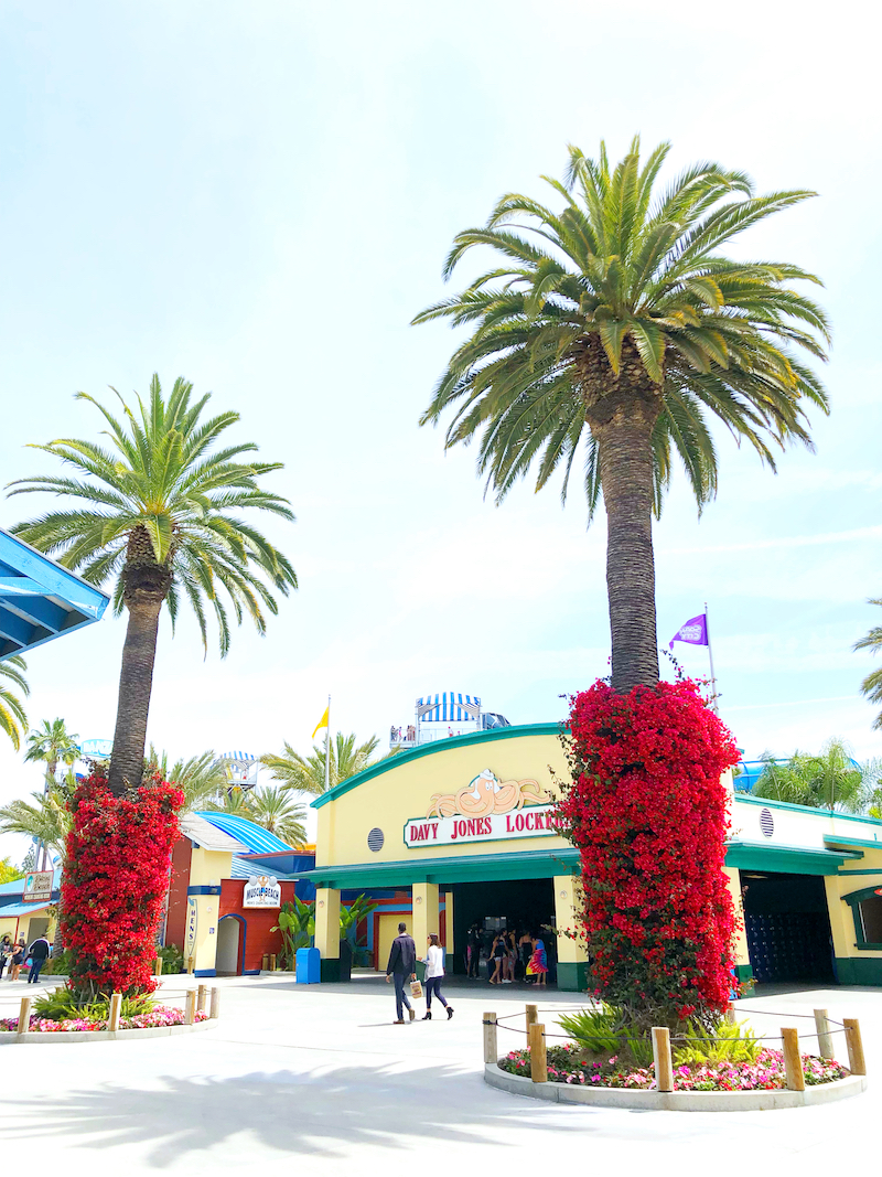 Davy Jones Lockers at Knott's Soak City in Buena Park, CA - livingmividaloca.com - #LivingMiVidaLoca #KnottsSoakCity #KnottsBerryFarm #BuenaPark