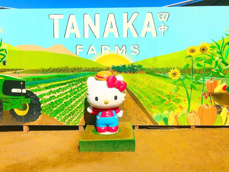 Hello Kitty at Tanaka Farms in Irvine