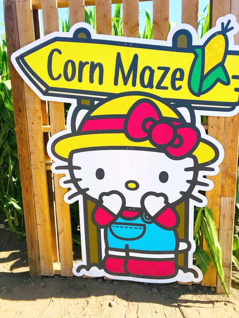 Hello Kitty corn maze at Tanaka Farms