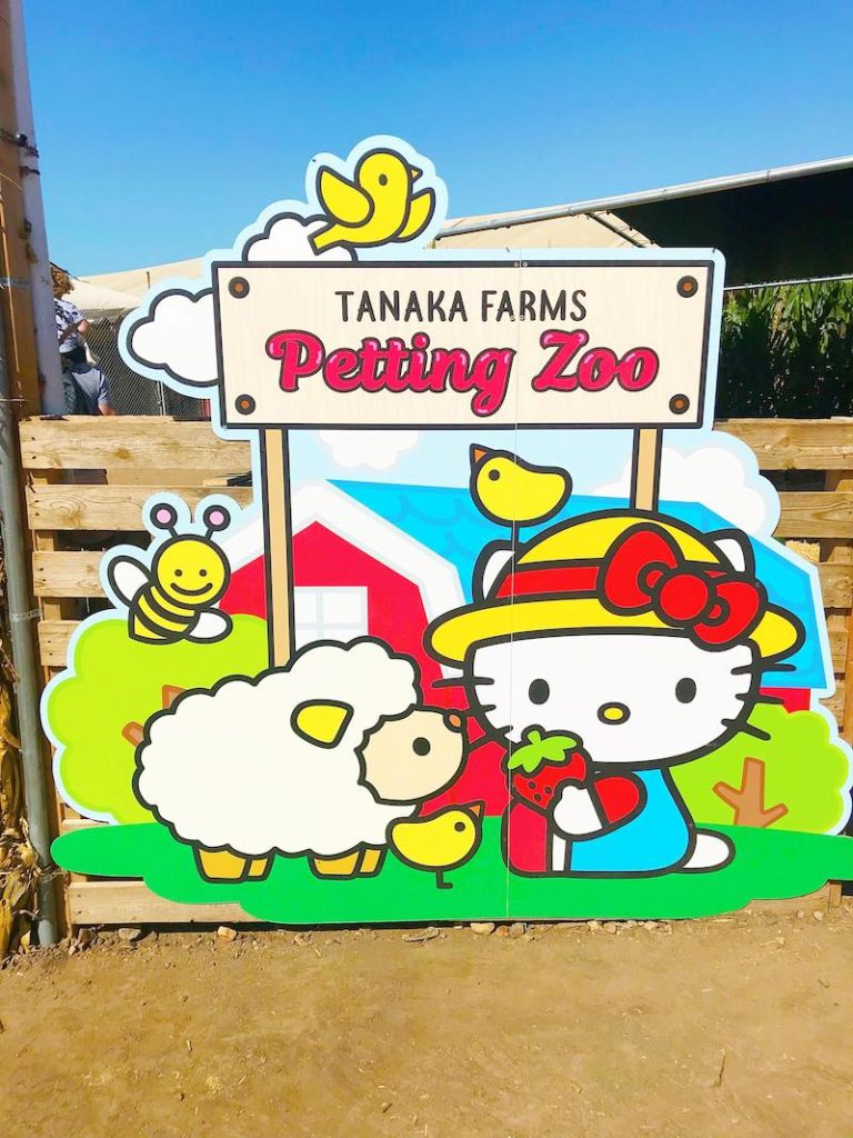 Hello Kitty petting zoo at Tanaka Farms