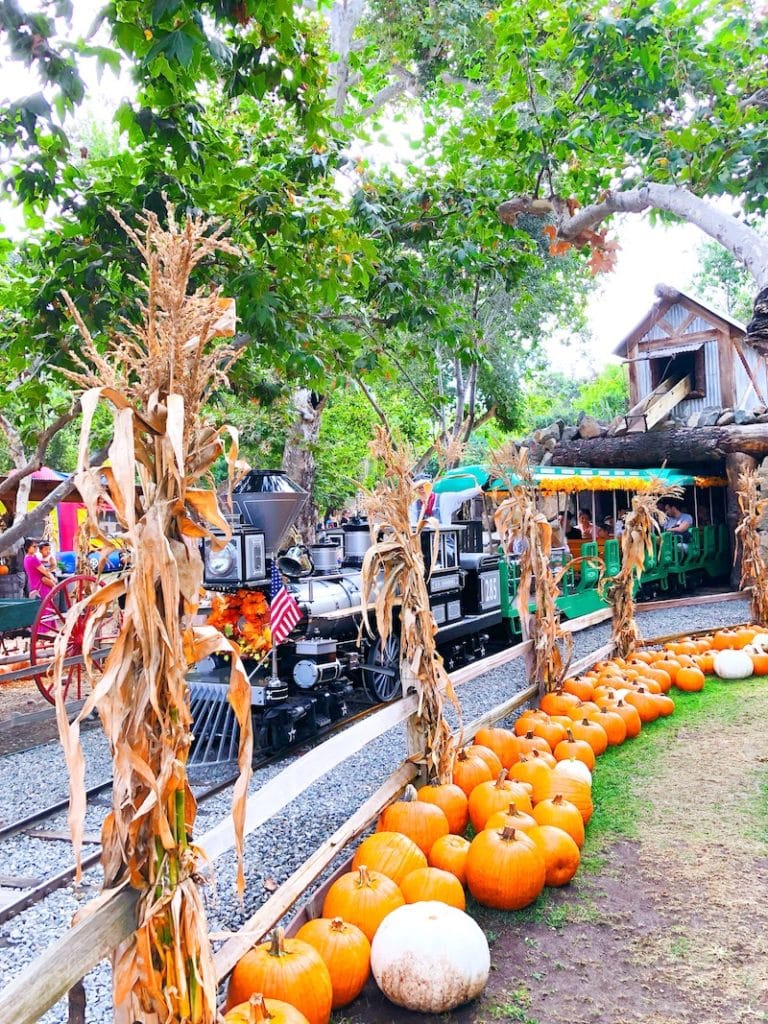 Irvine Park Railroad Pumpkin Patch activity prices, tickets and what to do at the Irvine Park Railroad Pumpkin Patch. - livingmividaloca.com - #LivingMiVidaLoca #LMVLSoCal #OrangeCounty