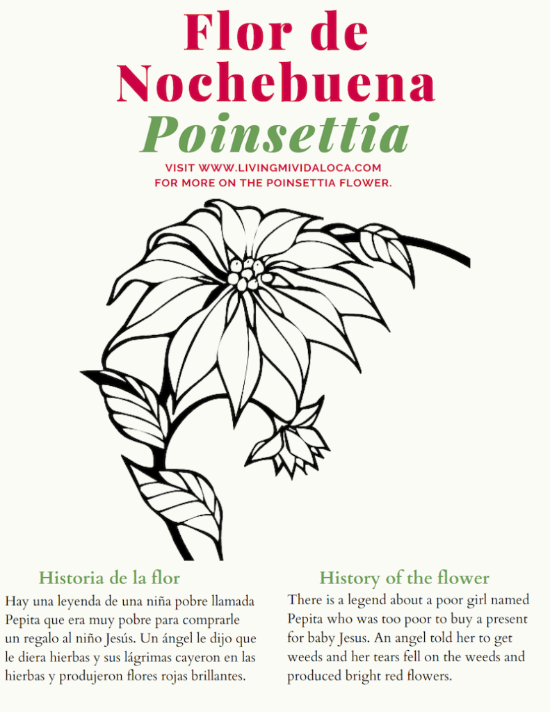 Flor de Nochebuena history and free printable - Living Mi Vida Loca