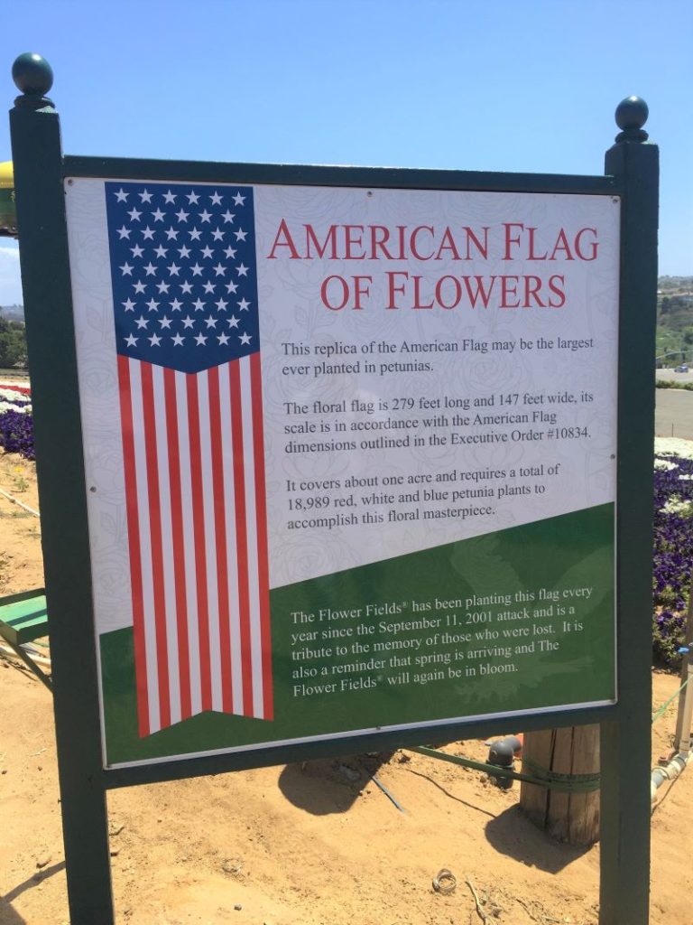 American flag of flowers at Carlsbad Flower Fields