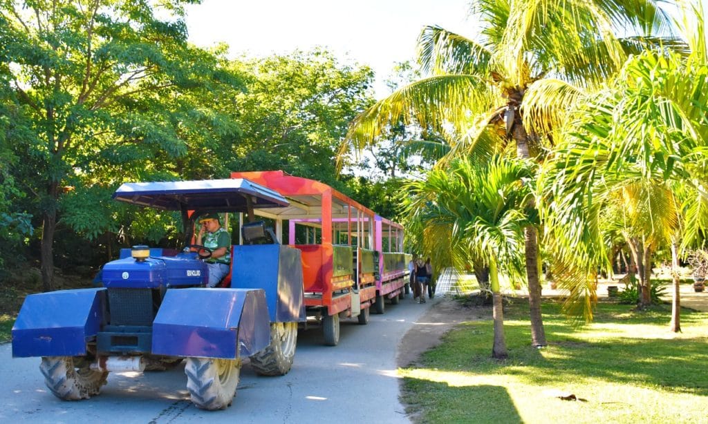 What to expect in transportation in Tulum for the first time. - livingmividaloca.com